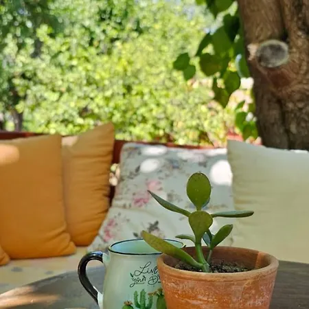 Maki Cirali Hotel Kemer