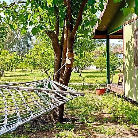 Maki Cirali Kemer