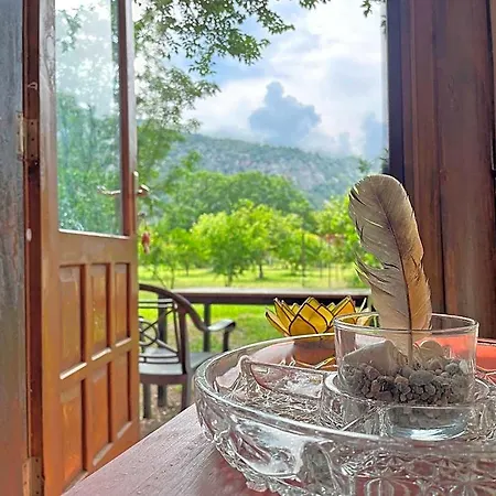 Maki Cirali Kemer