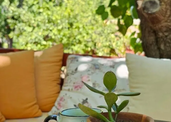 Maki Cirali Hotel Kumluca